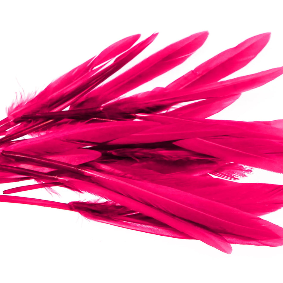 Goose Feather - Small Pointed