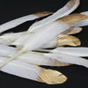 Goose Feather - Small Pointed