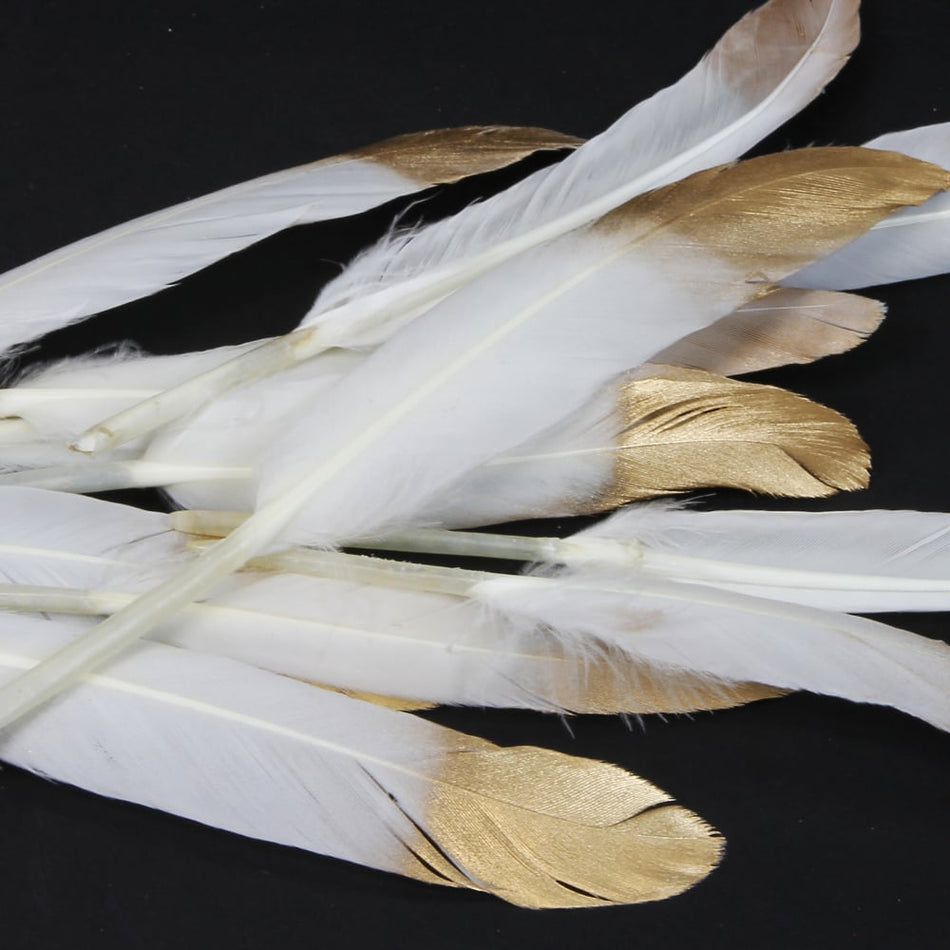 Goose Feather - Small Pointed