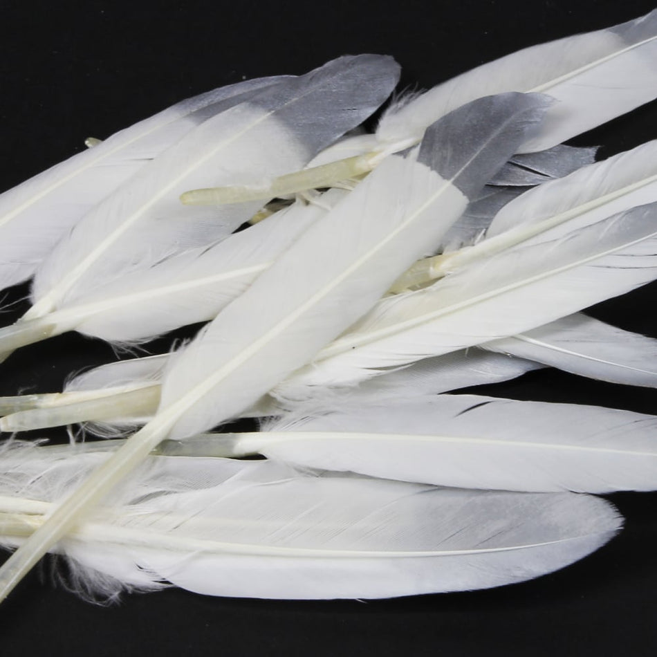 Goose Feather - Small Pointed