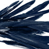 Goose Feather - Small Pointed