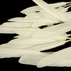 Goose Feather - Small Pointed