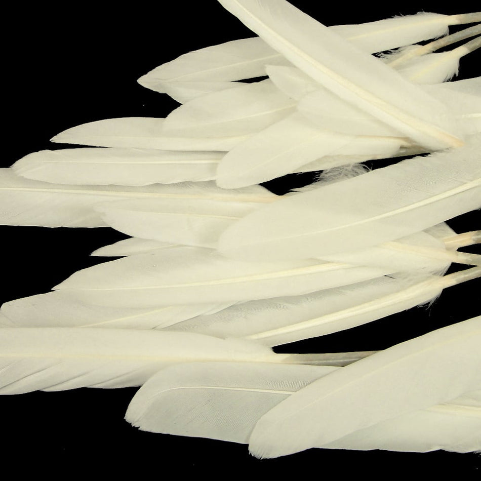 Goose Feather - Small Pointed
