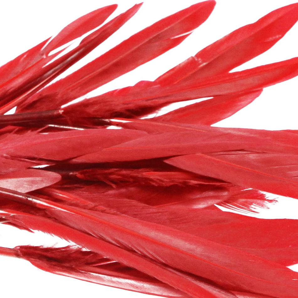 Goose Feather - Small Pointed