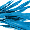 Goose Feather - Small Pointed