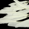 Goose Feather - Small Pointed