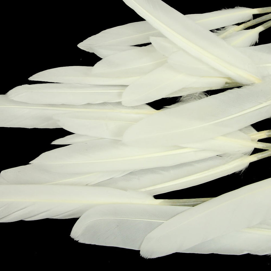 Goose Feather - Small Pointed