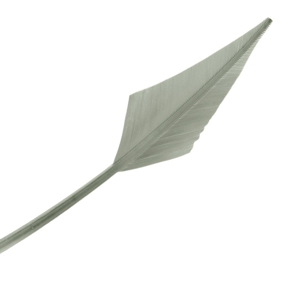 Turkey Feather Arrowhead