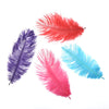 Ostrich Feather Plume 15-20cm (3 Pack)
