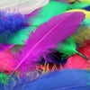 Goose Nagoire Feather (24 Pack)