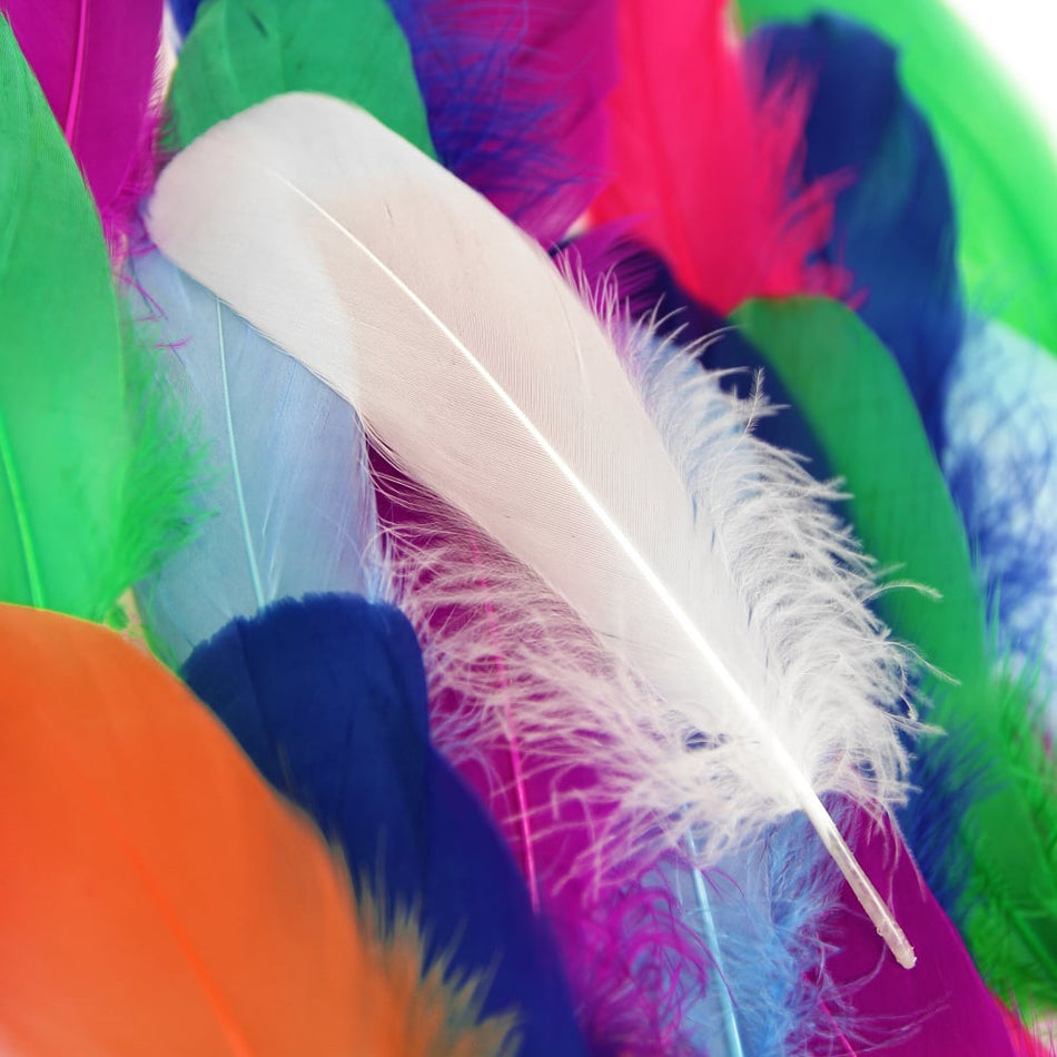 Goose Nagoire Feather (24 Pack)