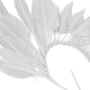 Feather Wire Mount - Coque Feather Spray - Diamond Tail