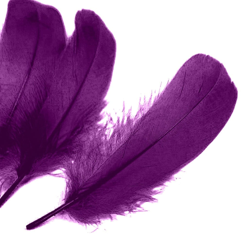 Goose Nagoire Feather (24 Pack)