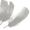 Goose Nagoire Feather (24 Pack)