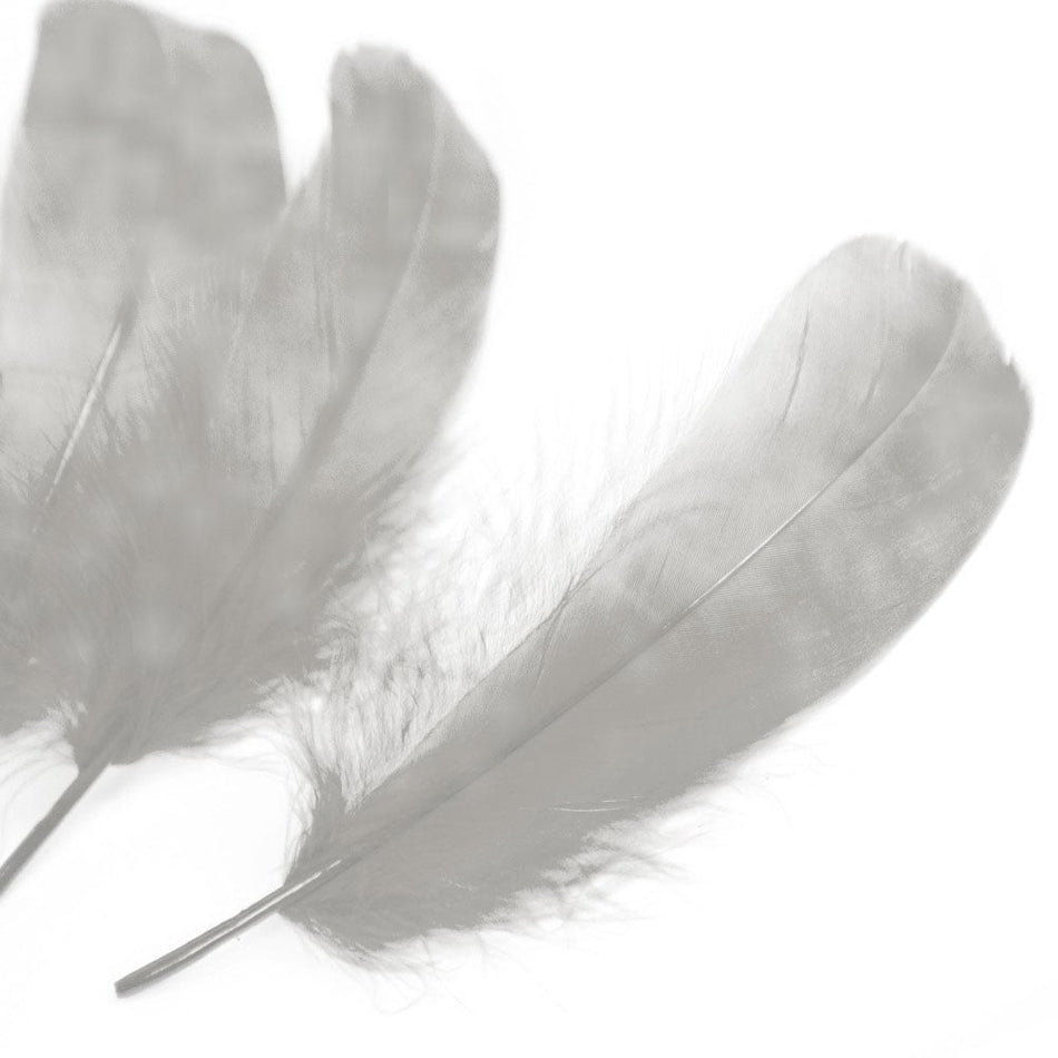 Goose Nagoire Feather (24 Pack)