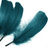 Goose Nagoire Feather (24 Pack)