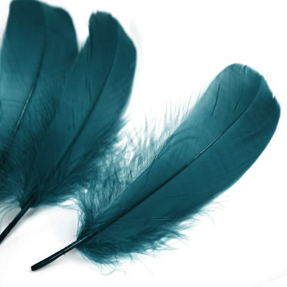 Goose Nagoire Feather (24 Pack)