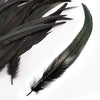 Rooster Coque Tail Feather Bunch (3 Pack)