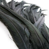 Rooster Coque Tail Feather Bunch (3 Pack)