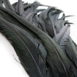 Rooster Coque Tail Feather Bunch (3 Pack)