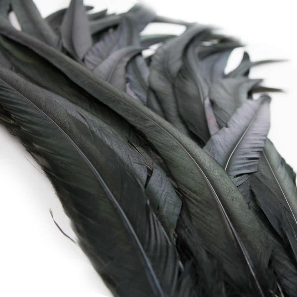 Rooster Coque Tail Feather Bunch (3 Pack)