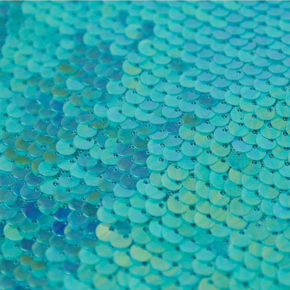 Hue Sequin Mesh