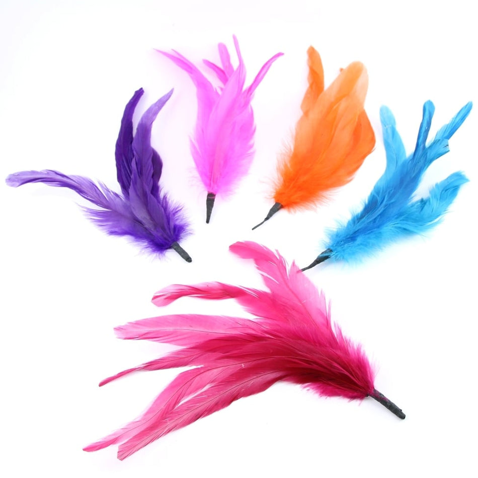 Coque Feather Bunch