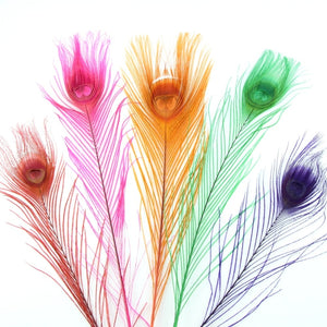 Peacock Eye Feather 20-30cm (3 Pack)
