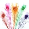 Peacock Eye Feather 20-30cm (3 Pack)