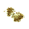 Flower Stamens Pearl