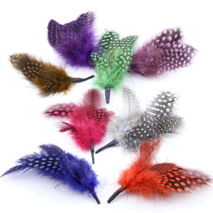 Guinea Fowl Feather Bunch