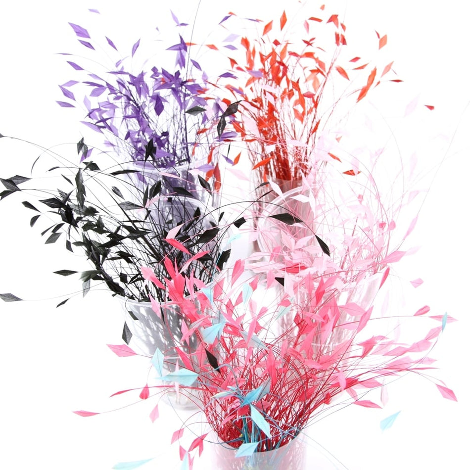 Stripped Coque Feather Bunch - Dots