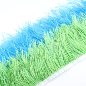 Ostrich Feather Fringe