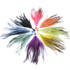 Emu Feather Bunch