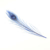 Peacock Eye Feather 20-30cm (3 Pack)