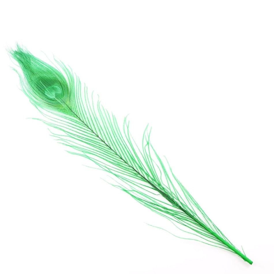 Peacock Eye Feather 20-30cm (3 Pack)