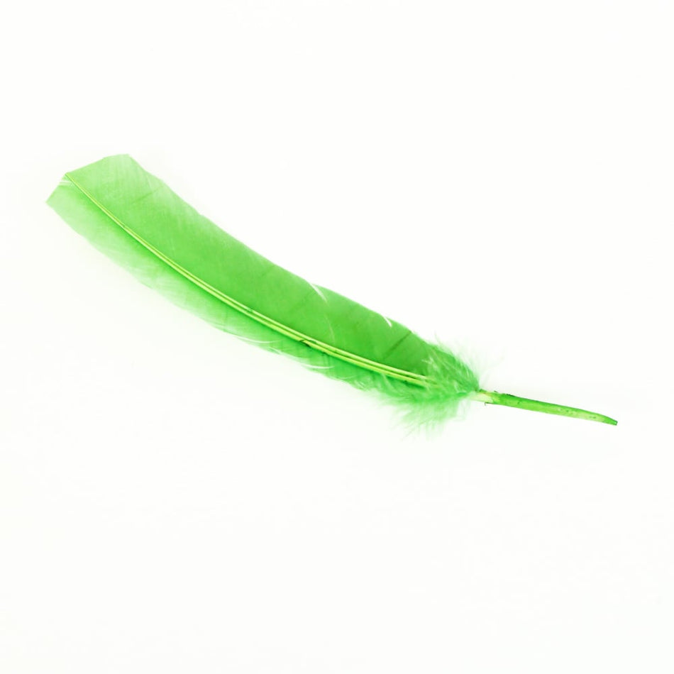 Turkey Feather - Quill