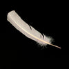 Turkey Feather - Quill