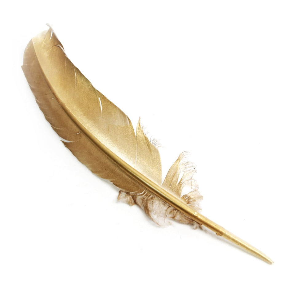 Turkey Feather - Quill