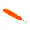 Turkey Feather - Quill