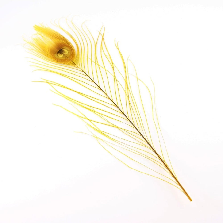 Peacock Eye Feather 20-30cm (3 Pack)