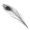 Peacock Eye Feather 20-30cm (3 Pack)