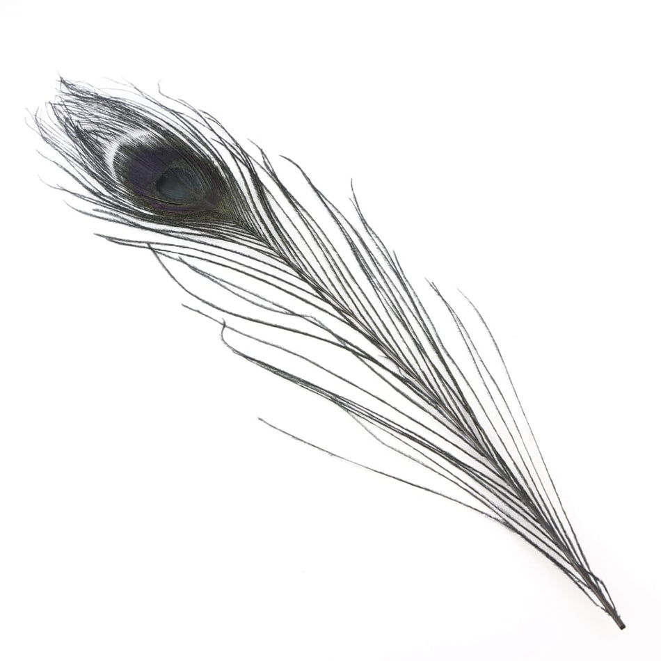 Peacock Eye Feather 20-30cm (3 Pack)