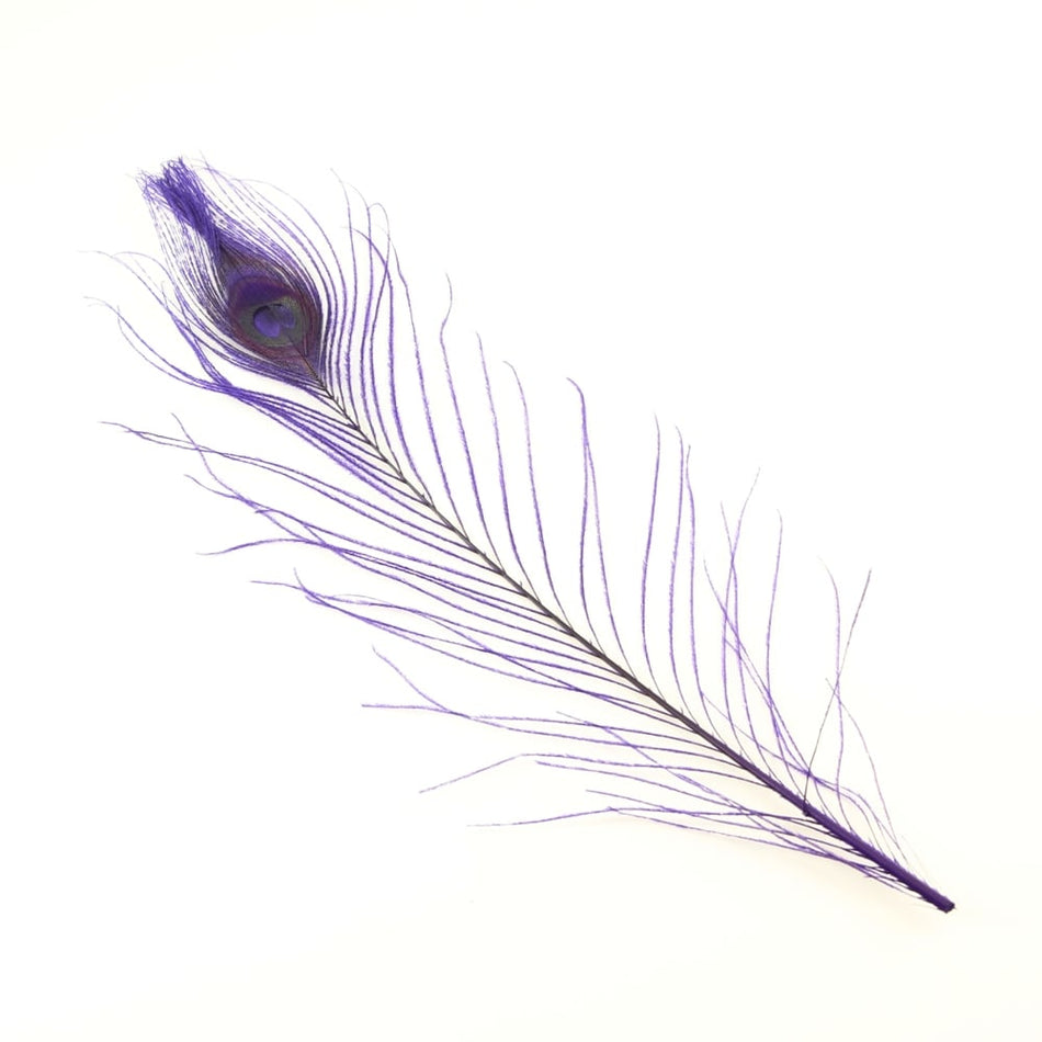 Peacock Eye Feather 20-30cm (3 Pack)