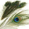 Peacock Eye Feather - Natural