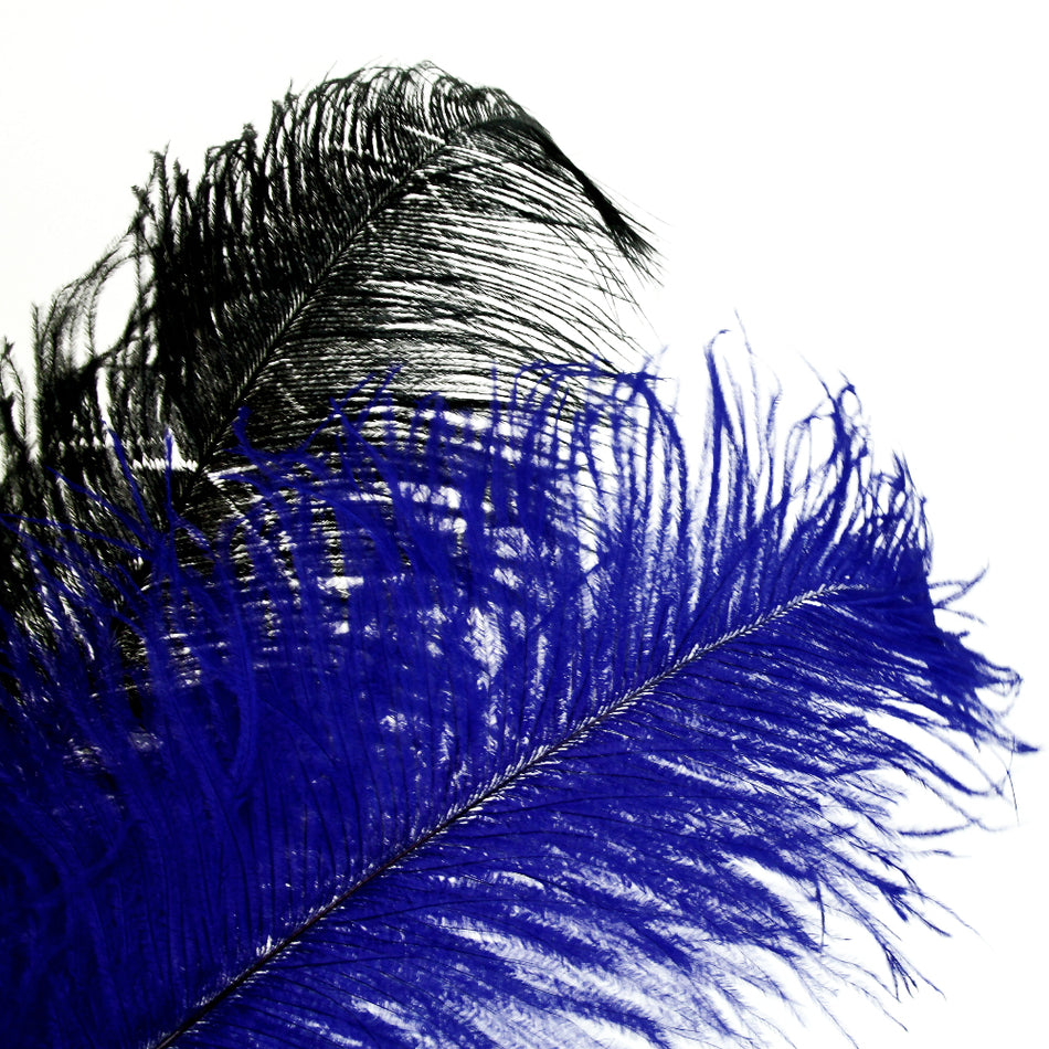 Ostrich Feather Plume 40-50cm