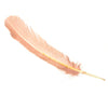 Turkey Feather - Quill