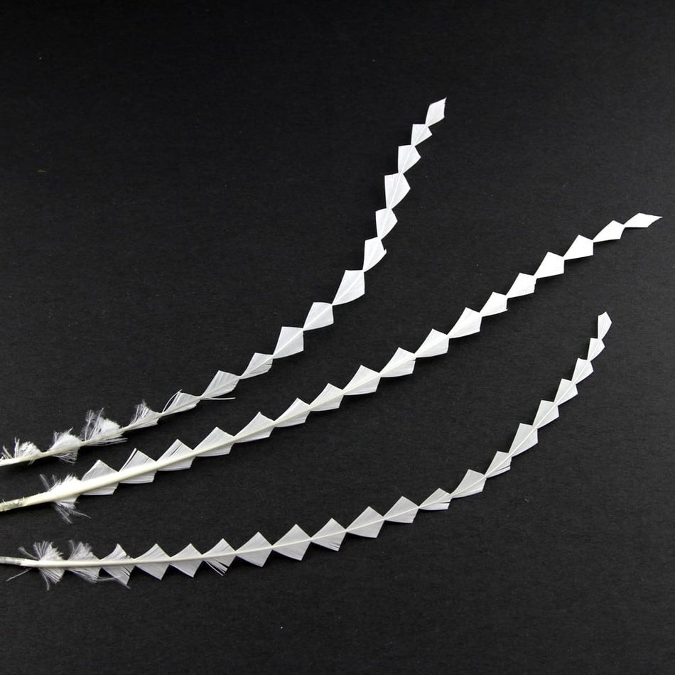 Stripped Coque Feather Bunch - Diamond Train