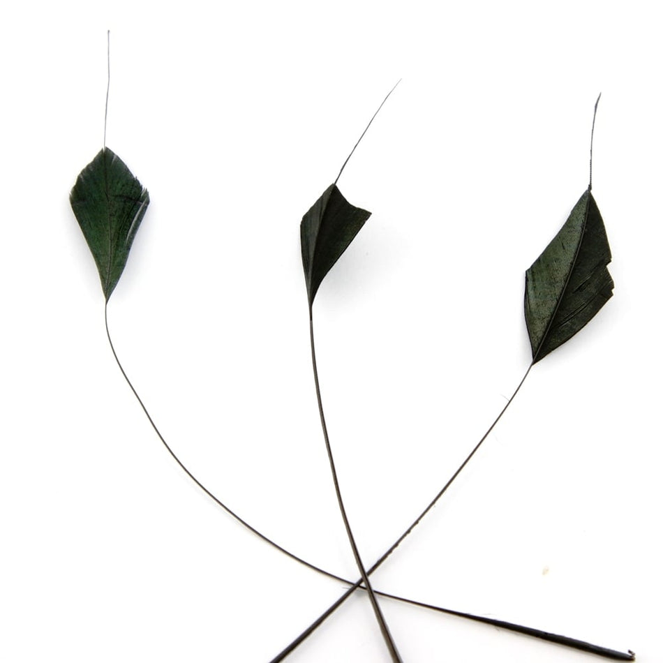 Stripped Coque Feather Bunch - Diamond Tail