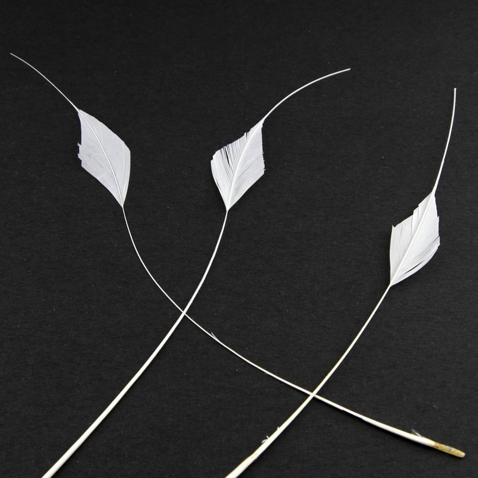 Stripped Coque Feather Bunch - Diamond Tail